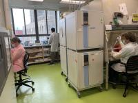 Columbia stem cell scientists in the laboratory August 2020